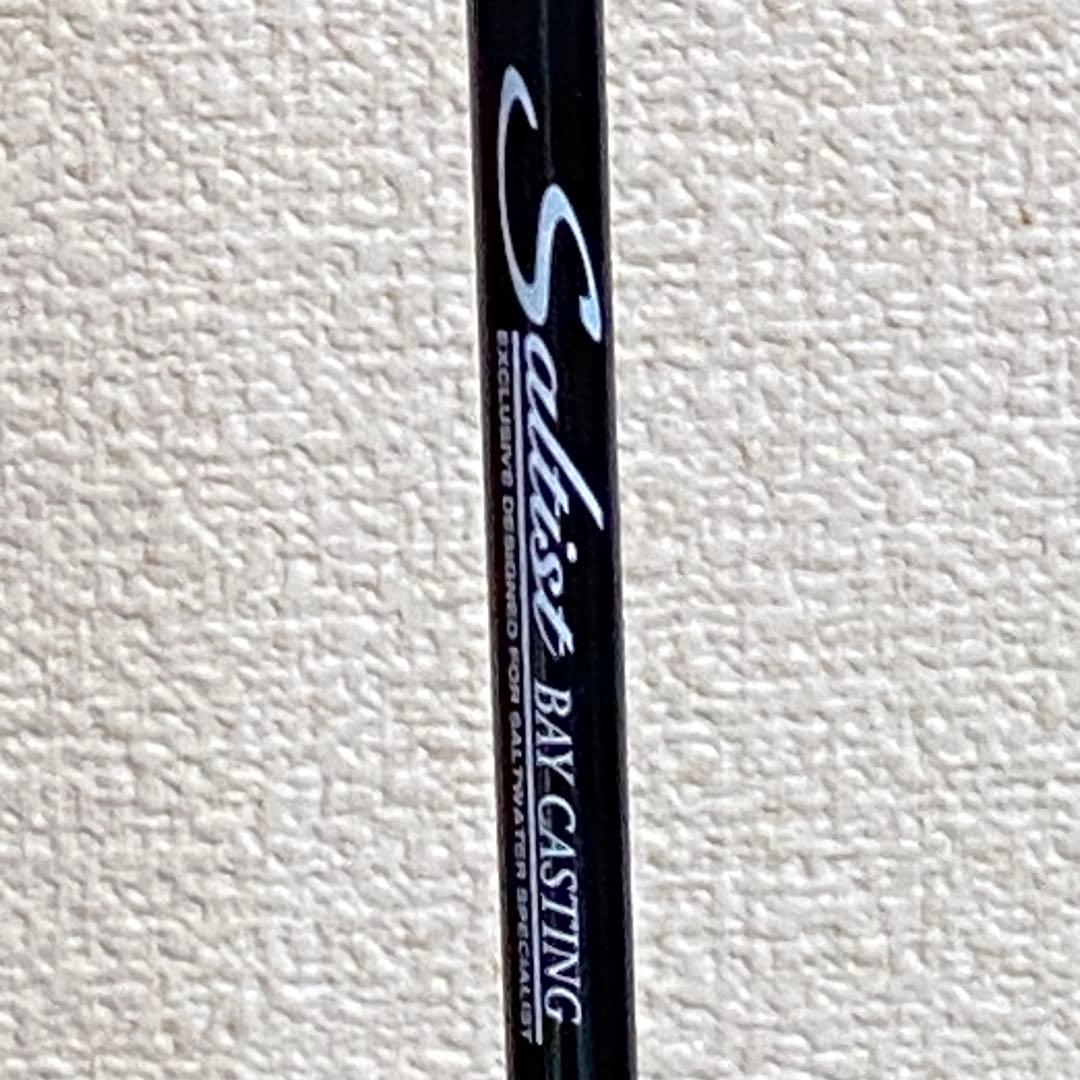 Daiwa SALTISTBAYCASTING &レブロスMX2000