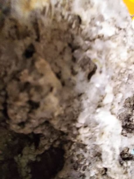 水晶、翡翠、蛇石、どれも原石です。