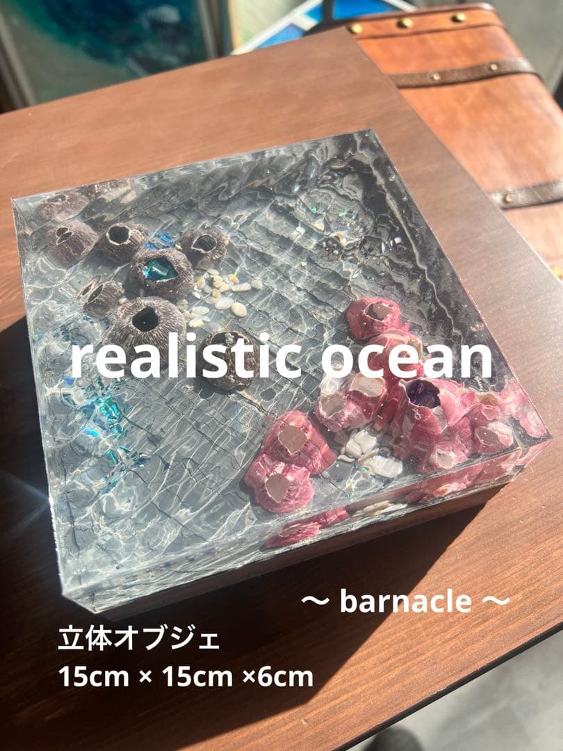 【波紋アート】Real Ocean／barnacle／フジツボ／15cmプリズム