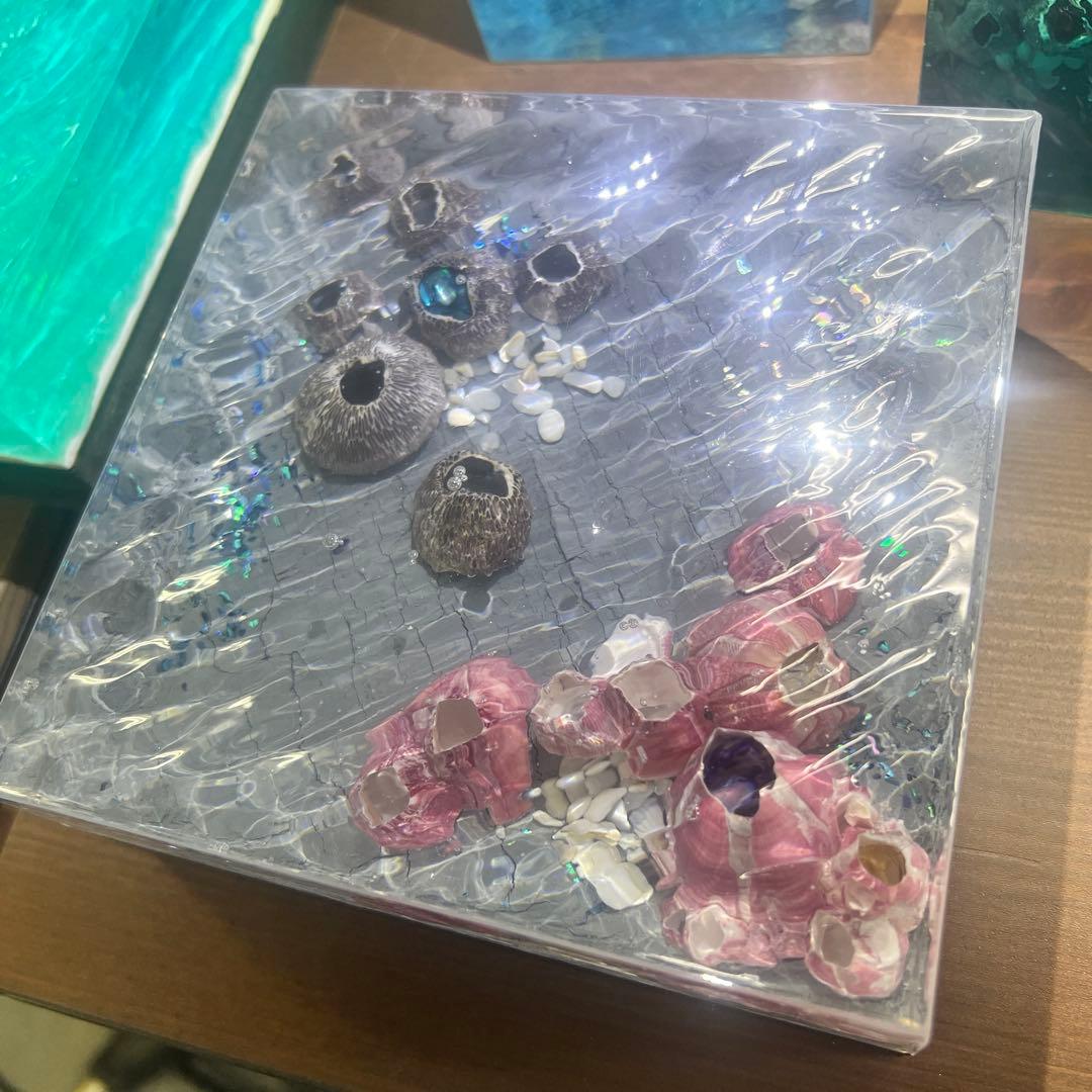 【波紋アート】Real Ocean／barnacle／フジツボ／15cmプリズム