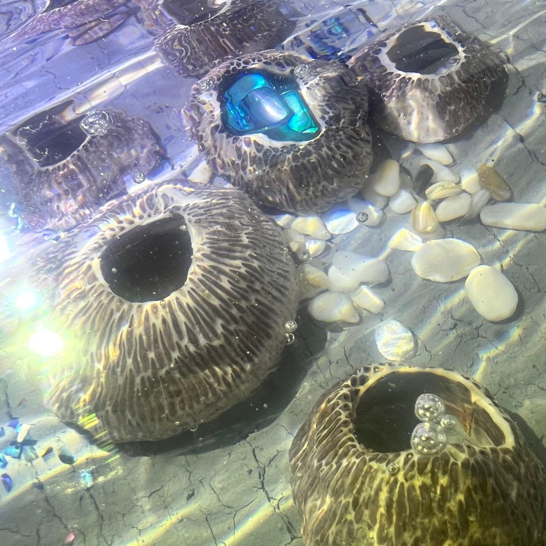 【波紋アート】Real Ocean／barnacle／フジツボ／15cmプリズム