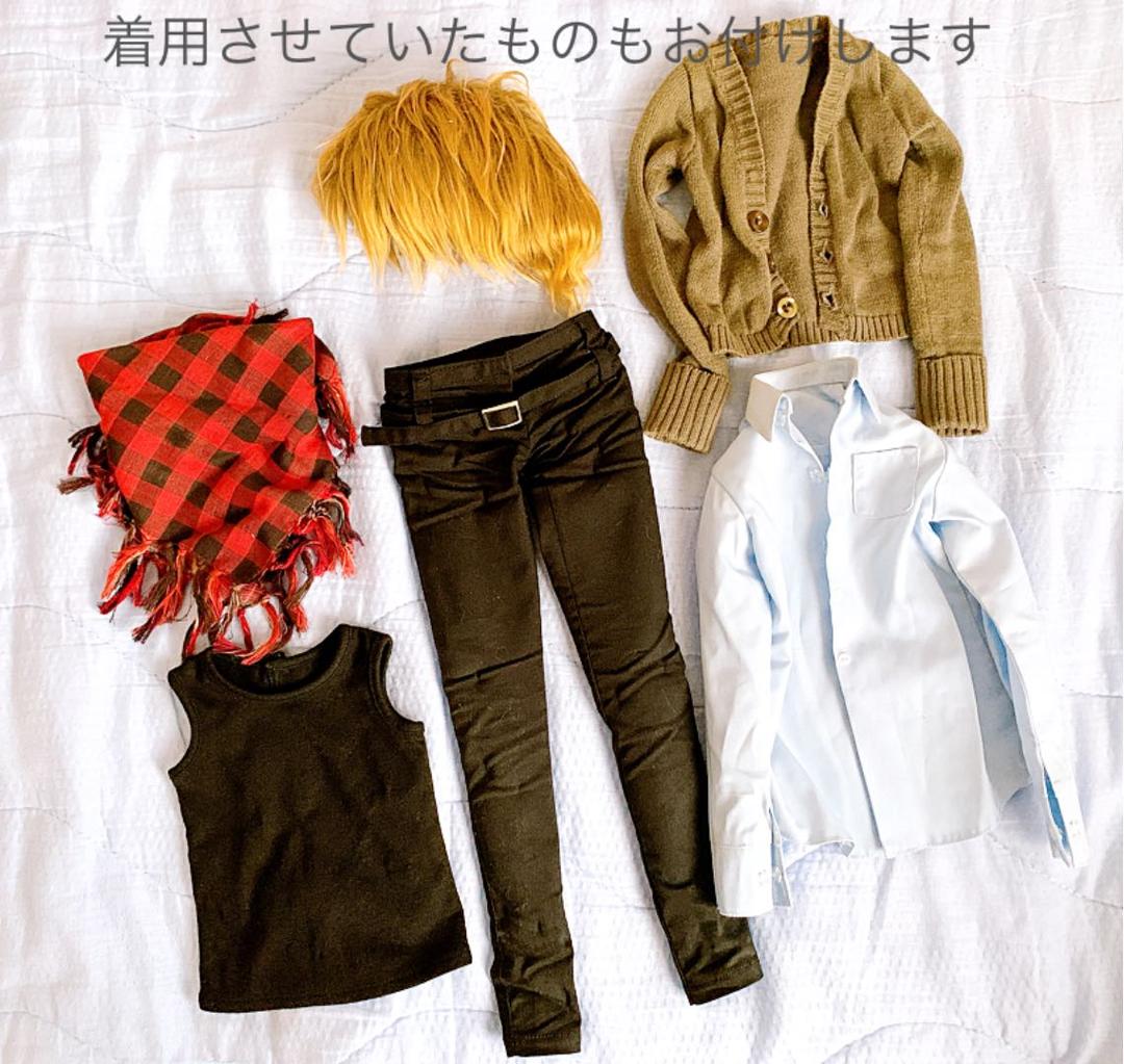 【スーパードルフィー】教室ＡカスタムSDボディ