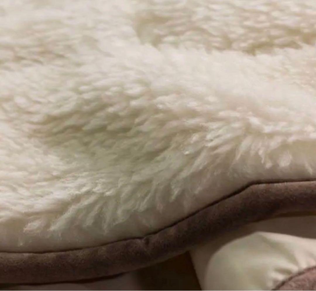 The PREMIUM Sofwool 敷き毛布 シングル
