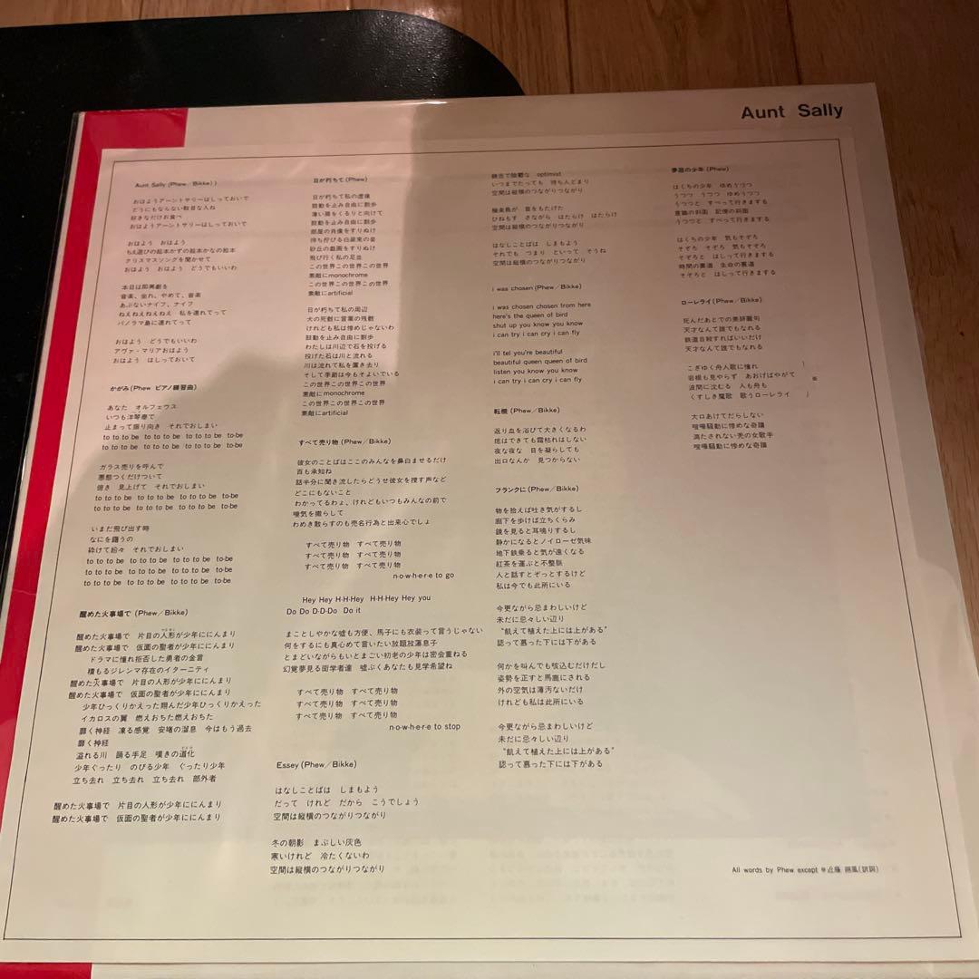 Aunt Sally アーント・サリー レコード