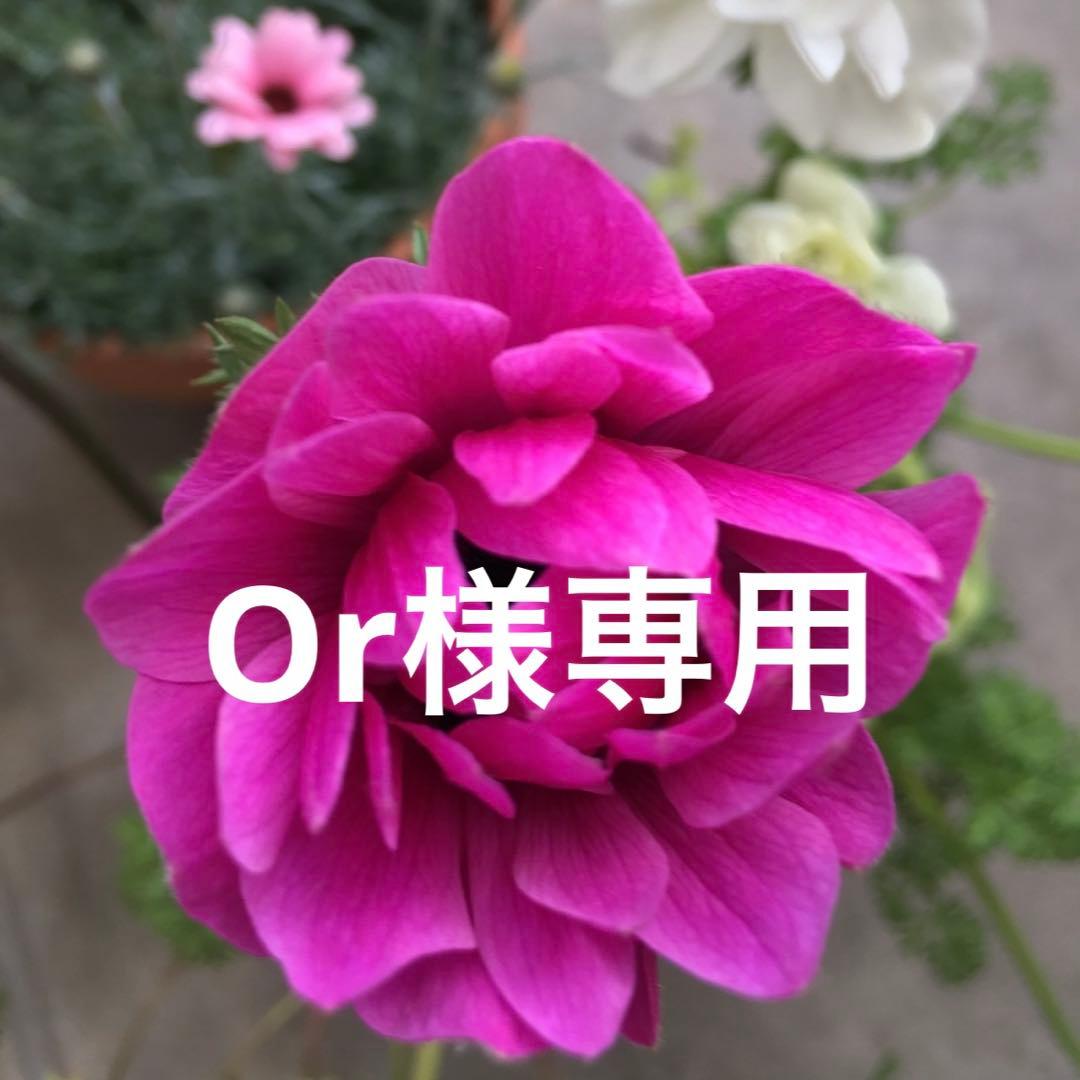 昭和レトロ　レトロビーズ　おさかなビーズ　レインボーカラー　大きめビーズセット