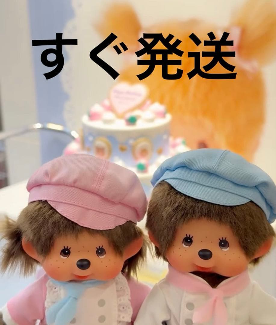 2026 東京駅 限定 パティスリー モンチッチ 男の子と女の子のセット