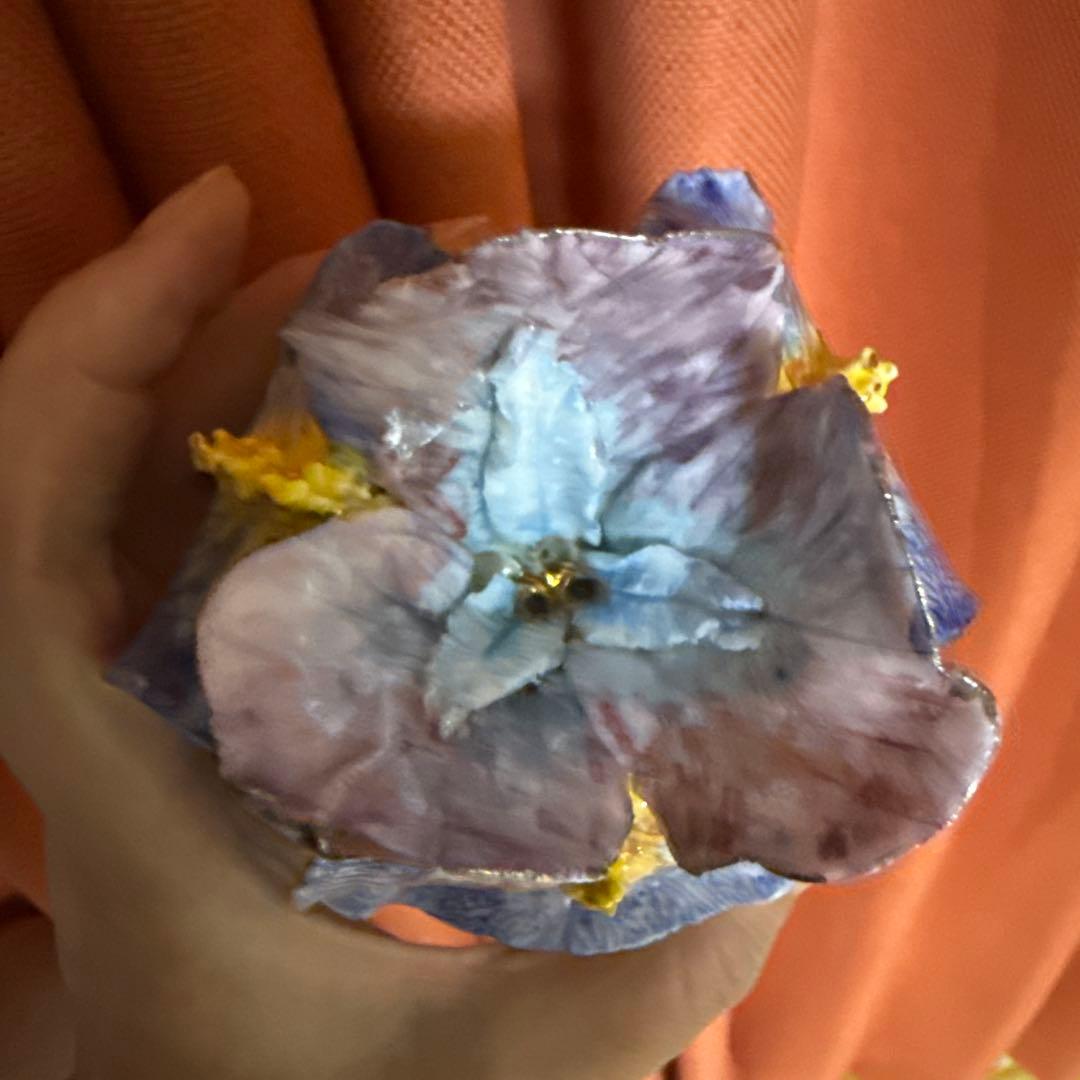 アイリスボックス . 新しいコレクション