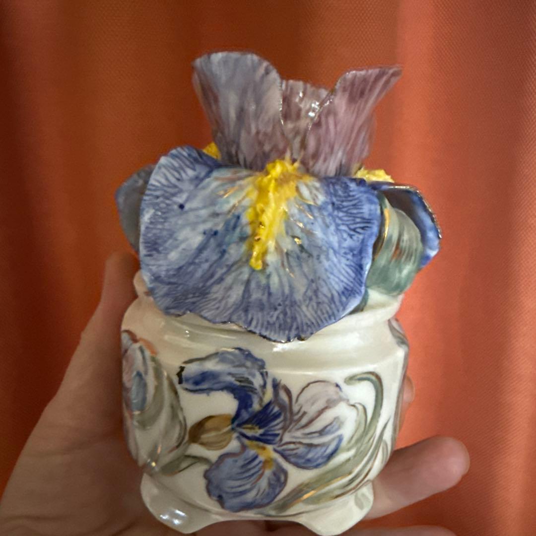 アイリスボックス . 新しいコレクション