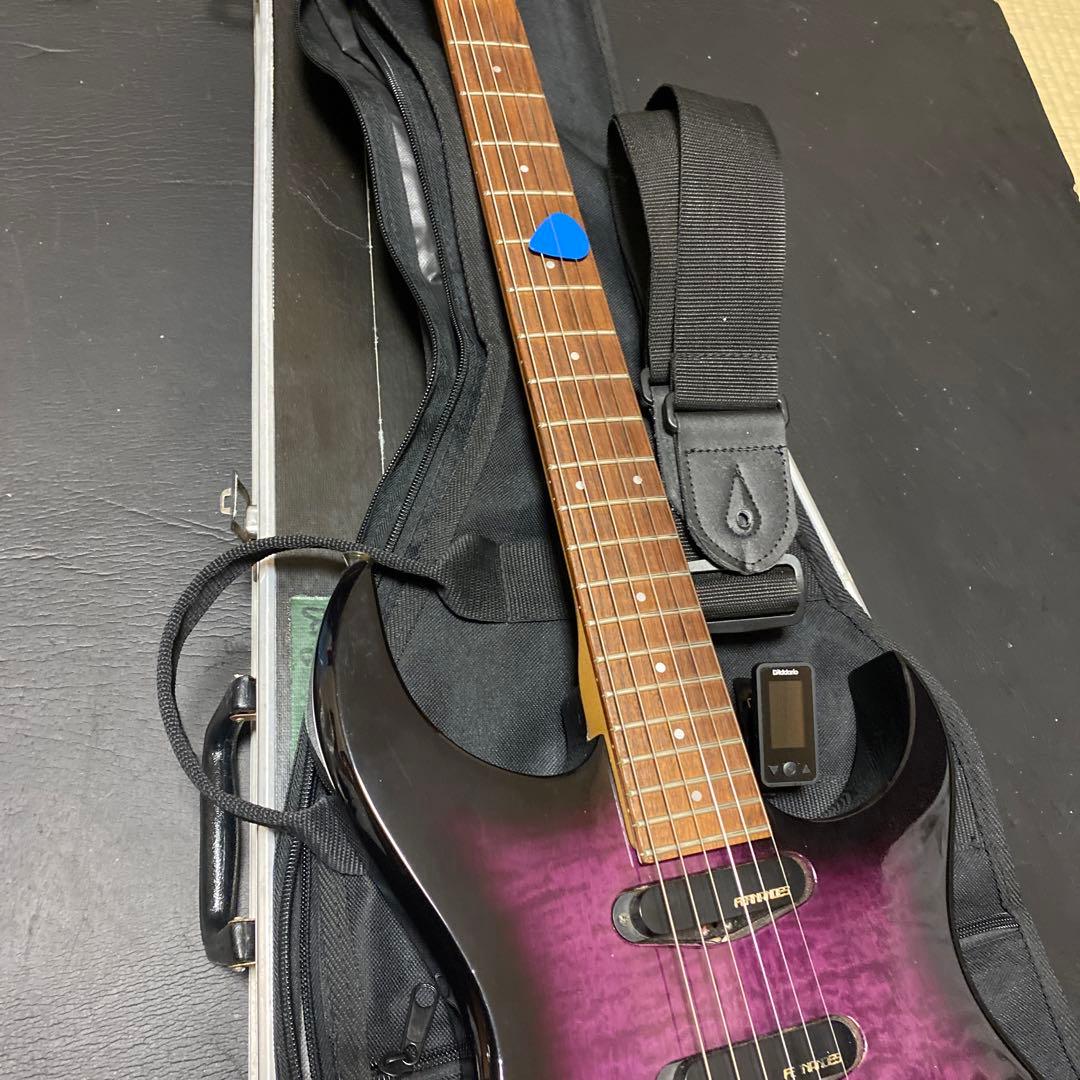 2月6日まで値下げ‼️FERNANDES FGZ400 トレモロアーム・ケース付