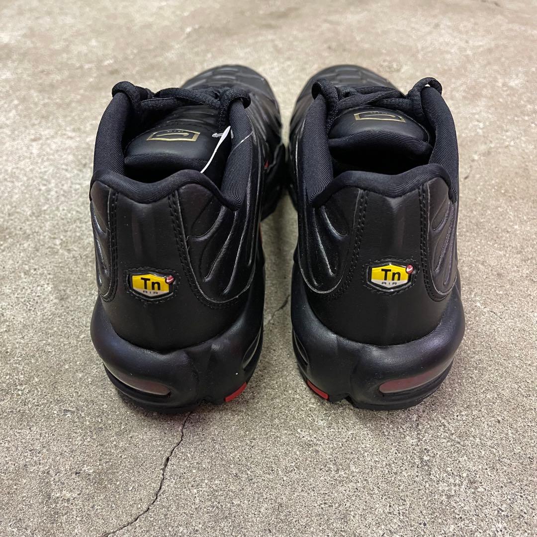 Nike Air Max Plus Premium FZ3038-001 29㎝