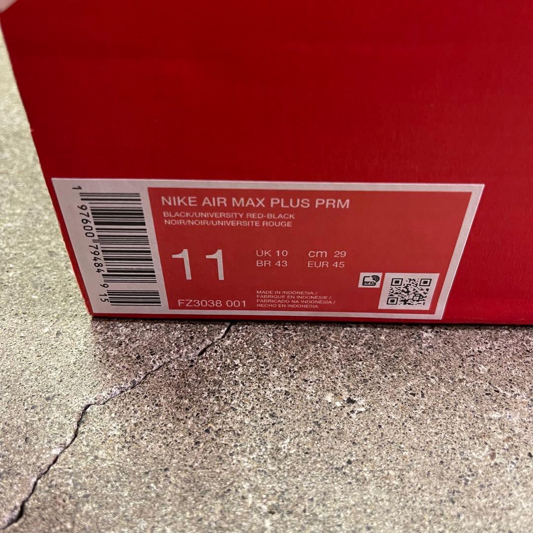 Nike Air Max Plus Premium FZ3038-001 29㎝