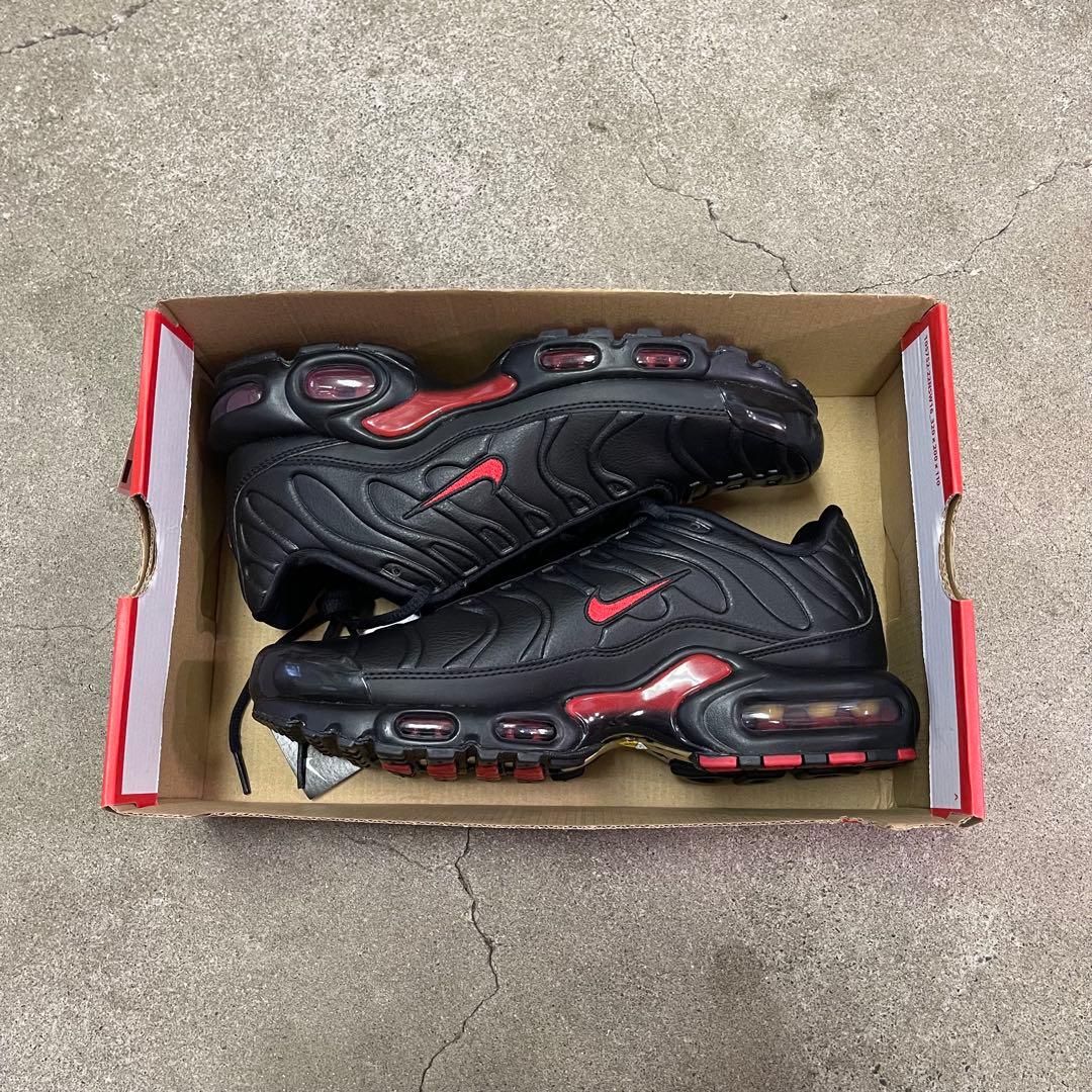 Nike Air Max Plus Premium FZ3038-001 29㎝