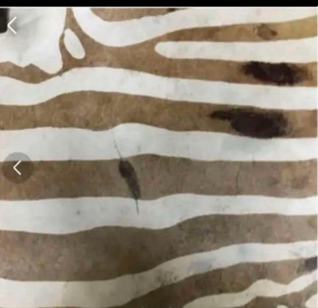 本格派　希少ホースラグマット