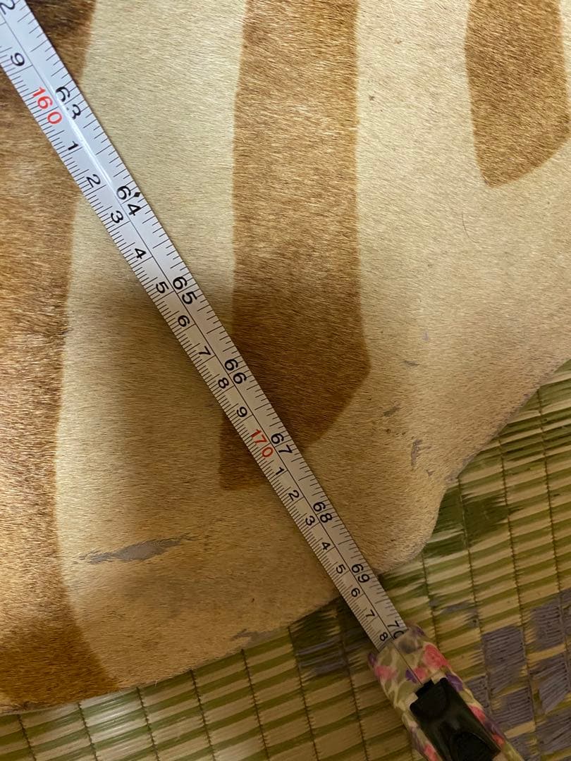 本格派　希少ホースラグマット