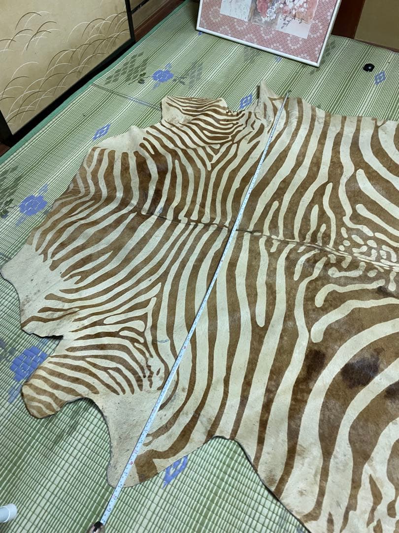 本格派　希少ホースラグマット