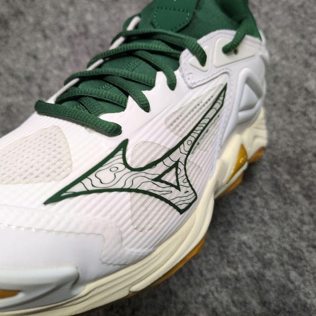 限定カラー　ウェーブモーメンタム3 25.0cm