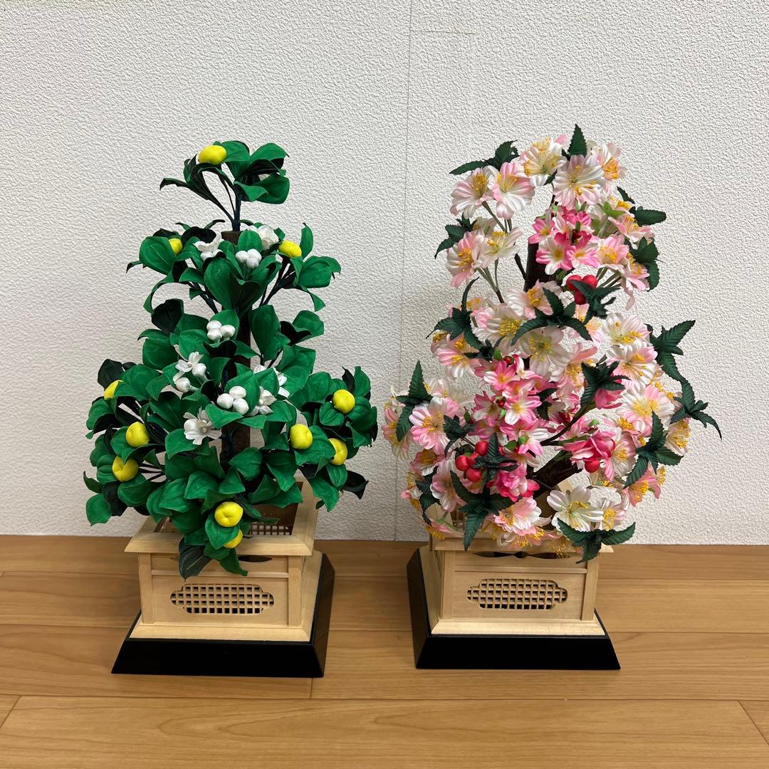 雛人形　桃の節句　桜橘　自然木　　花　大