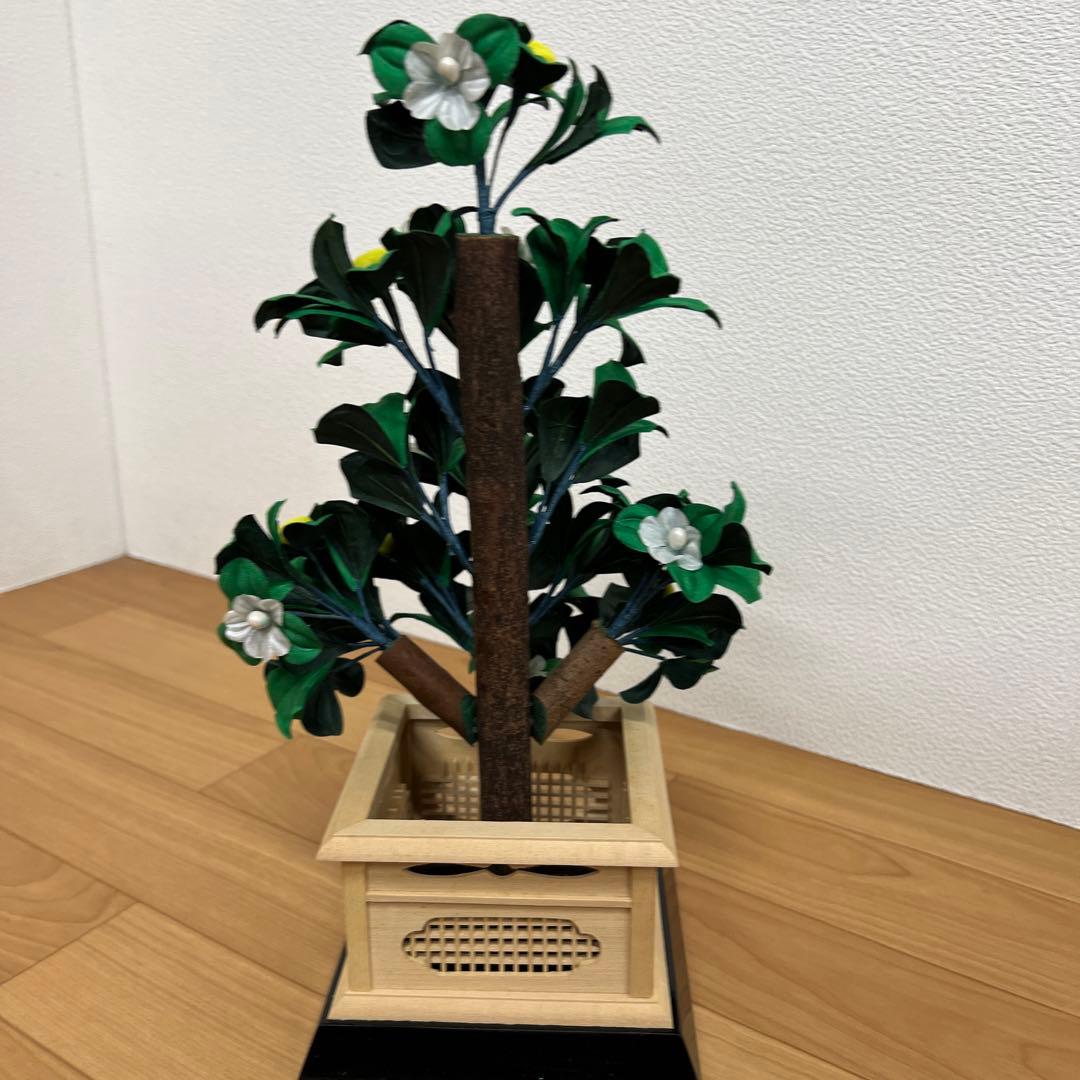 雛人形　桃の節句　桜橘　自然木　　花　大