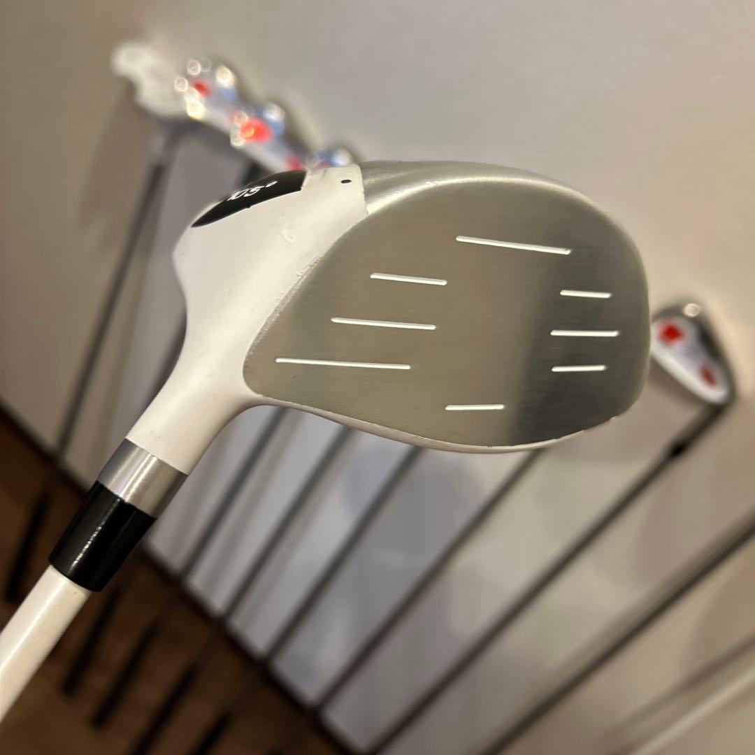 【ワールドイーグル】11本　右利きWORLD EAGLE・WE-5Z・メンズR