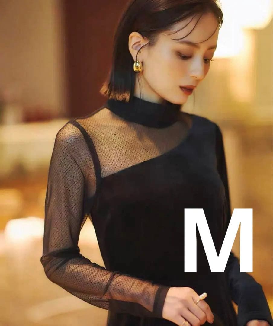 新品アニュアンスanuans シアーコンビタイトワンピース オケージョンM