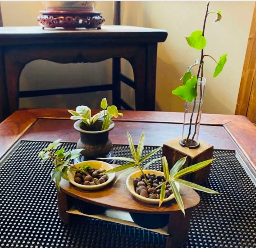 ミニ陶器鉢３点セット・自作付属品付　　一輪挿し・ポット・水耕栽培・観葉　多肉植物