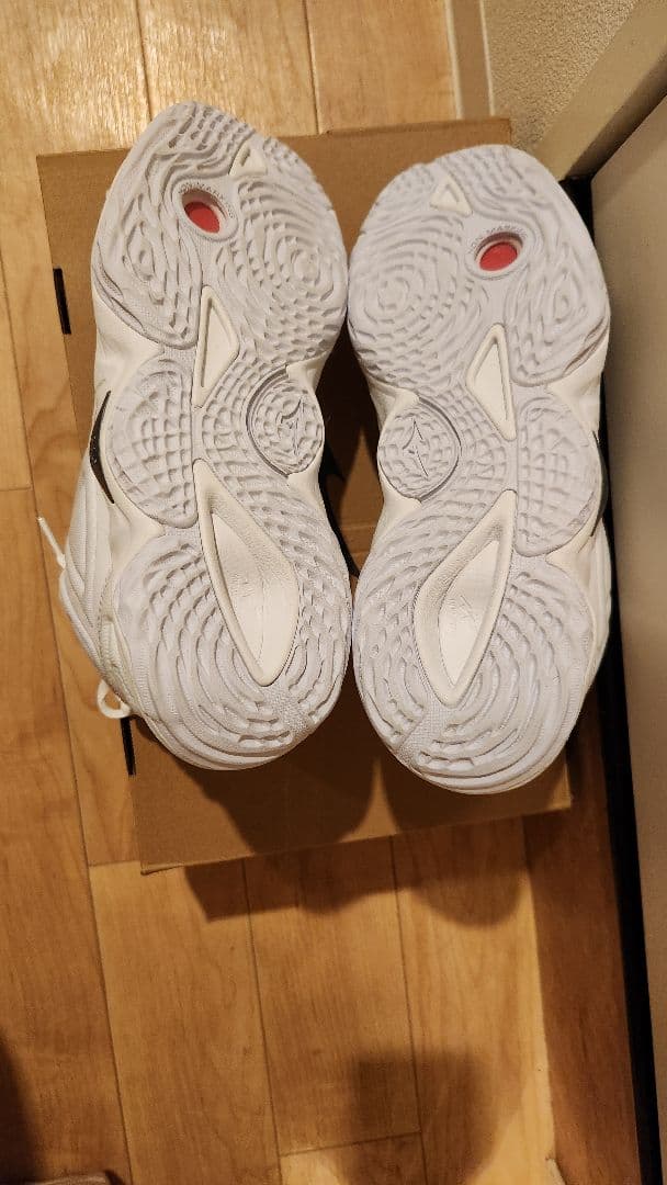 Mizuno バレーボールシューズ ウェーブモーメンタム3 MID 25cm