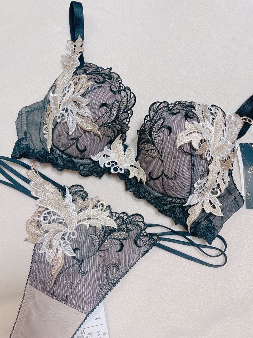 サルート92G プレステージ　火の鳥　D70 ソング　タンガM