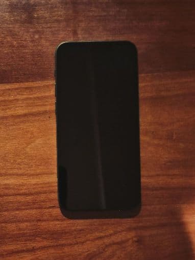 Apple iPhone 13 mini 【新品】