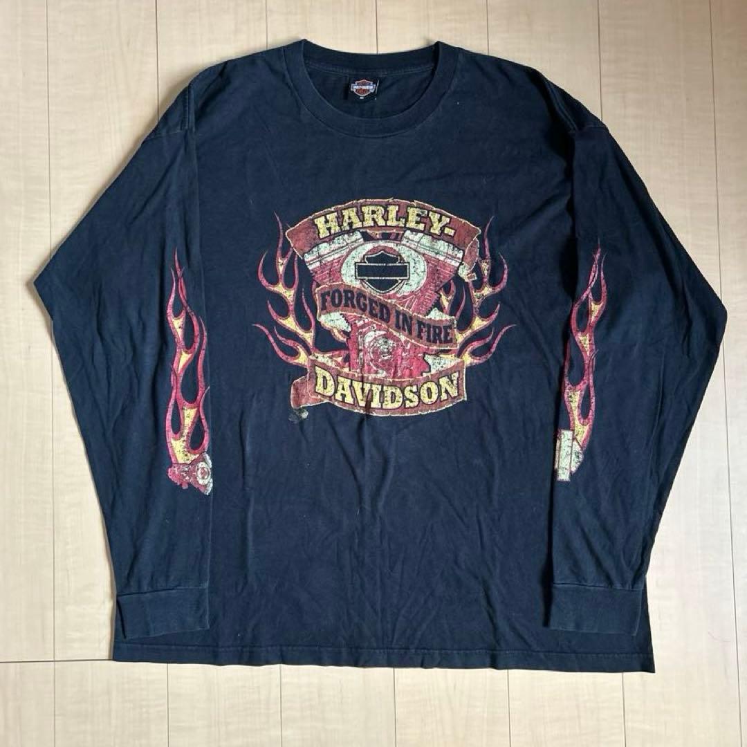 【希少サイズ】ハーレーダビッドソン フレイムスリーブ ロンＴ