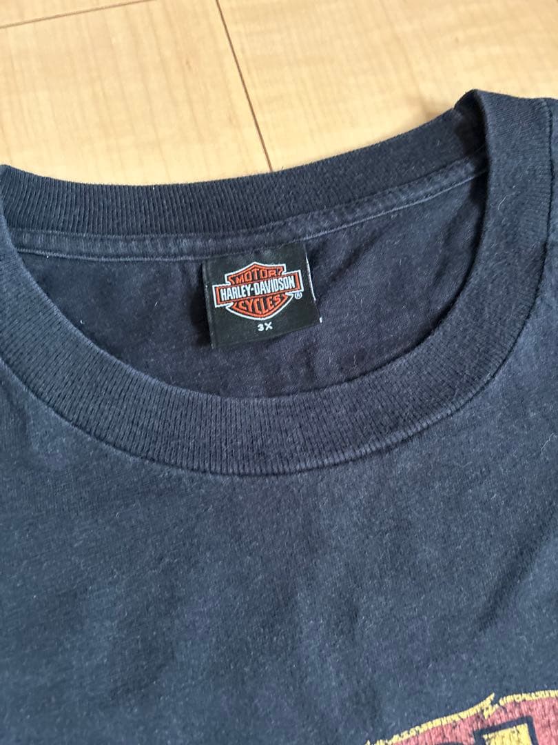 【希少サイズ】ハーレーダビッドソン フレイムスリーブ ロンＴ