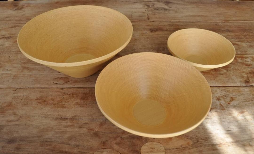 ＲＩＲＩさん専用ブナコ　BUNACO　木製ボウル3サイズセットで