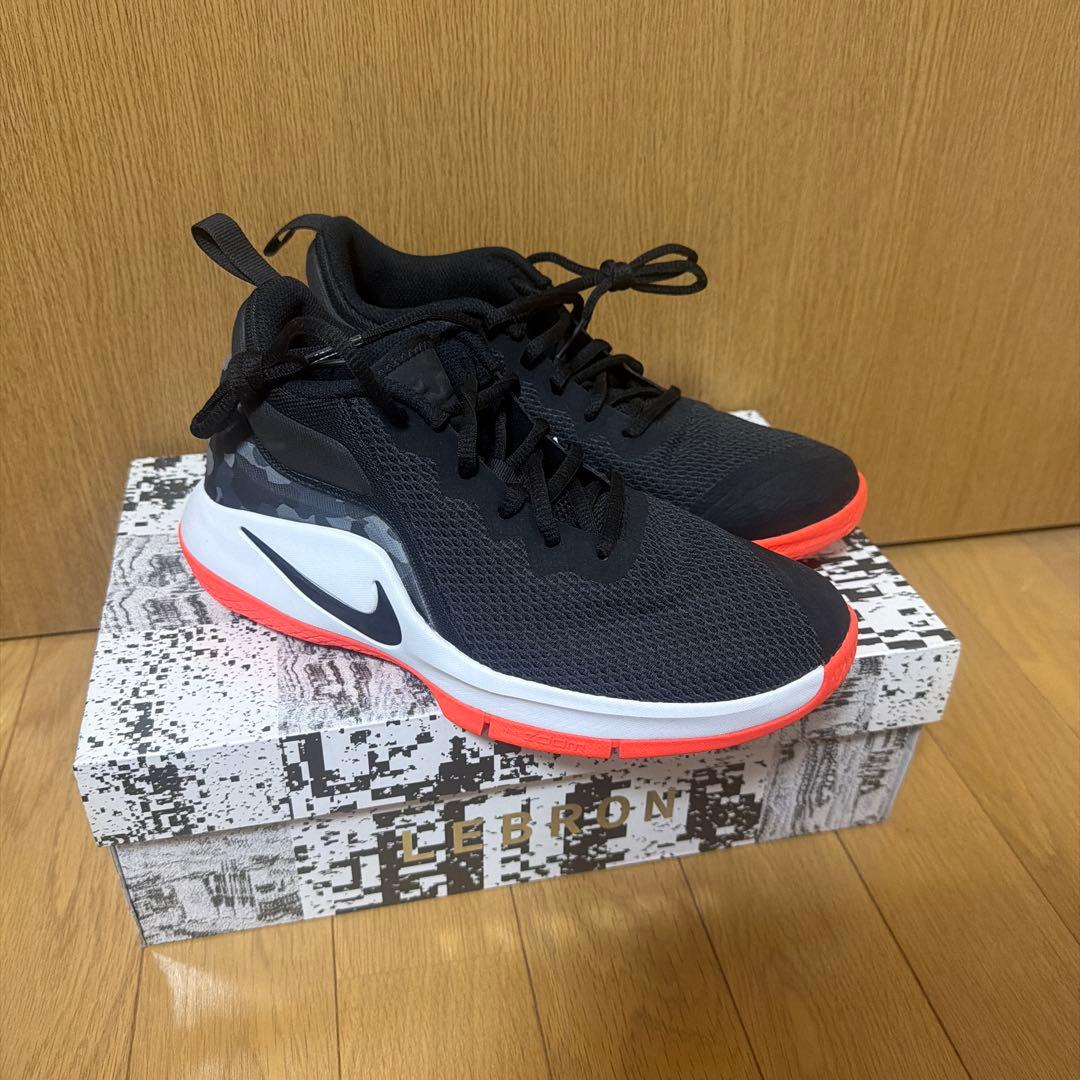 シューズ(男性用) LEBRON WITNESS II (GS) 6Y