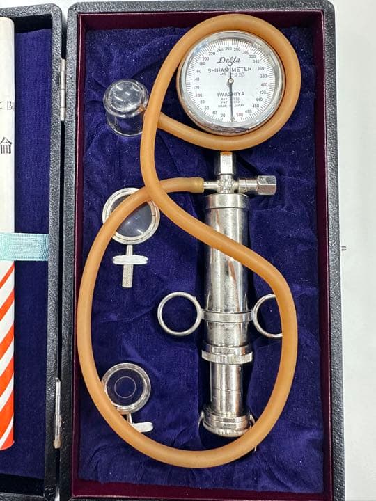 激レア！お宝！値下げしました！紫斑計