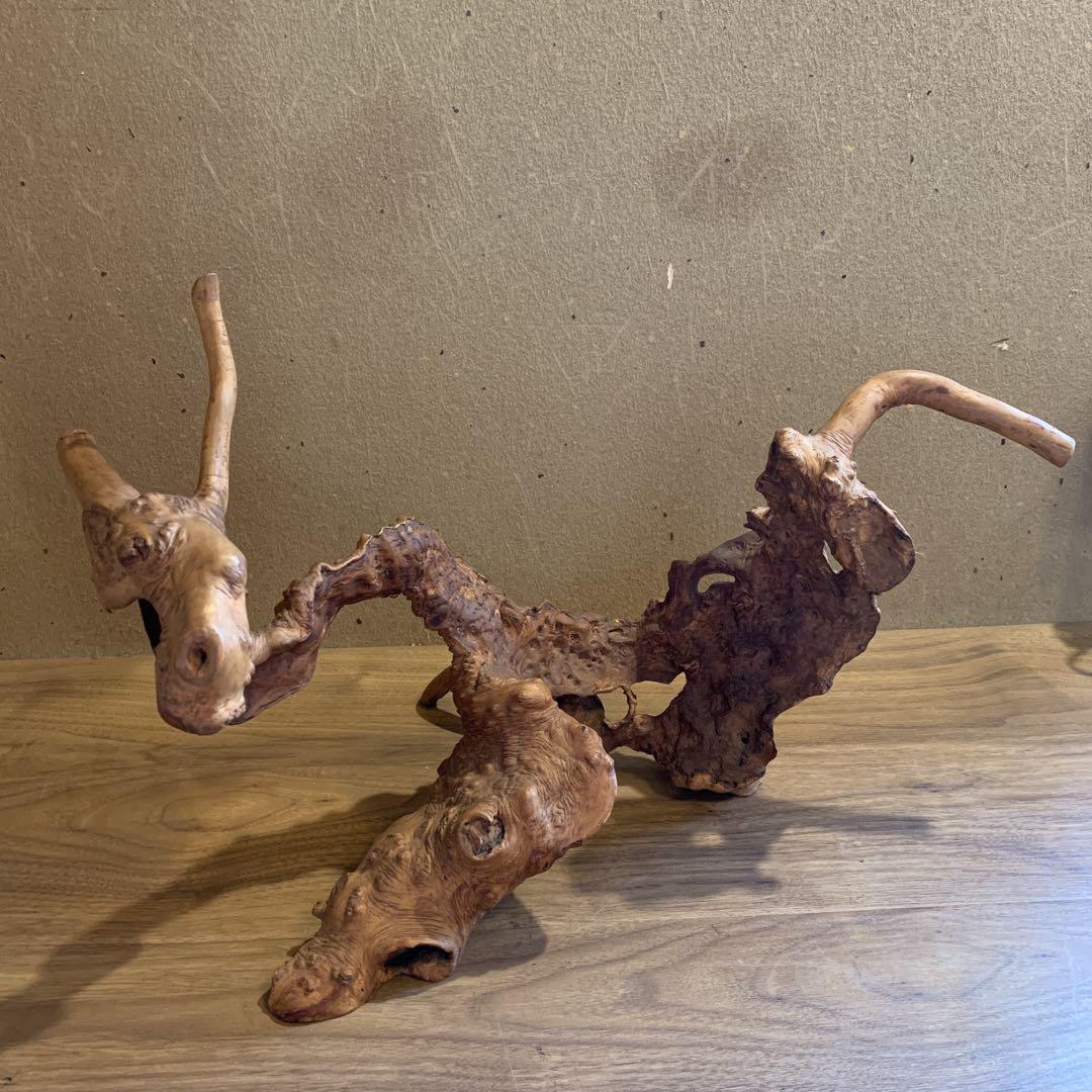 変木 天然木 飾り木 龍 動物 インテリア 工芸品 木工 木彫
