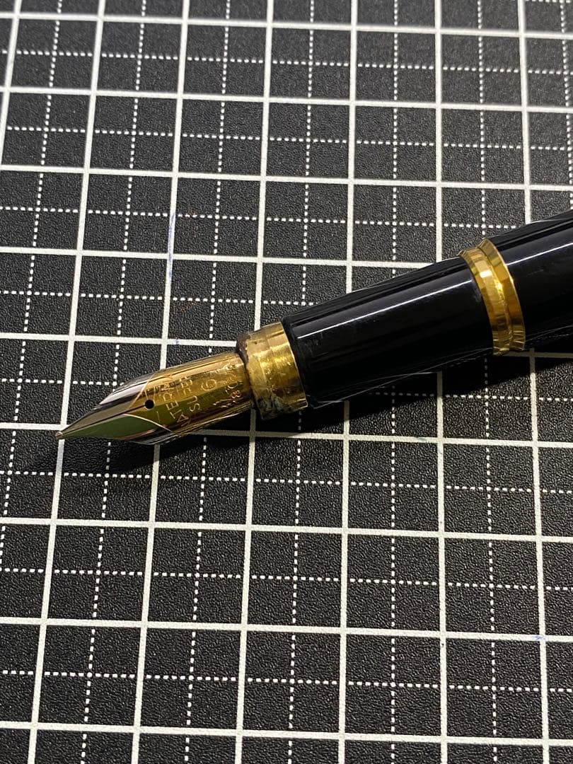 WATERMAN LE・MAN 100 万年筆　字幅F程度
