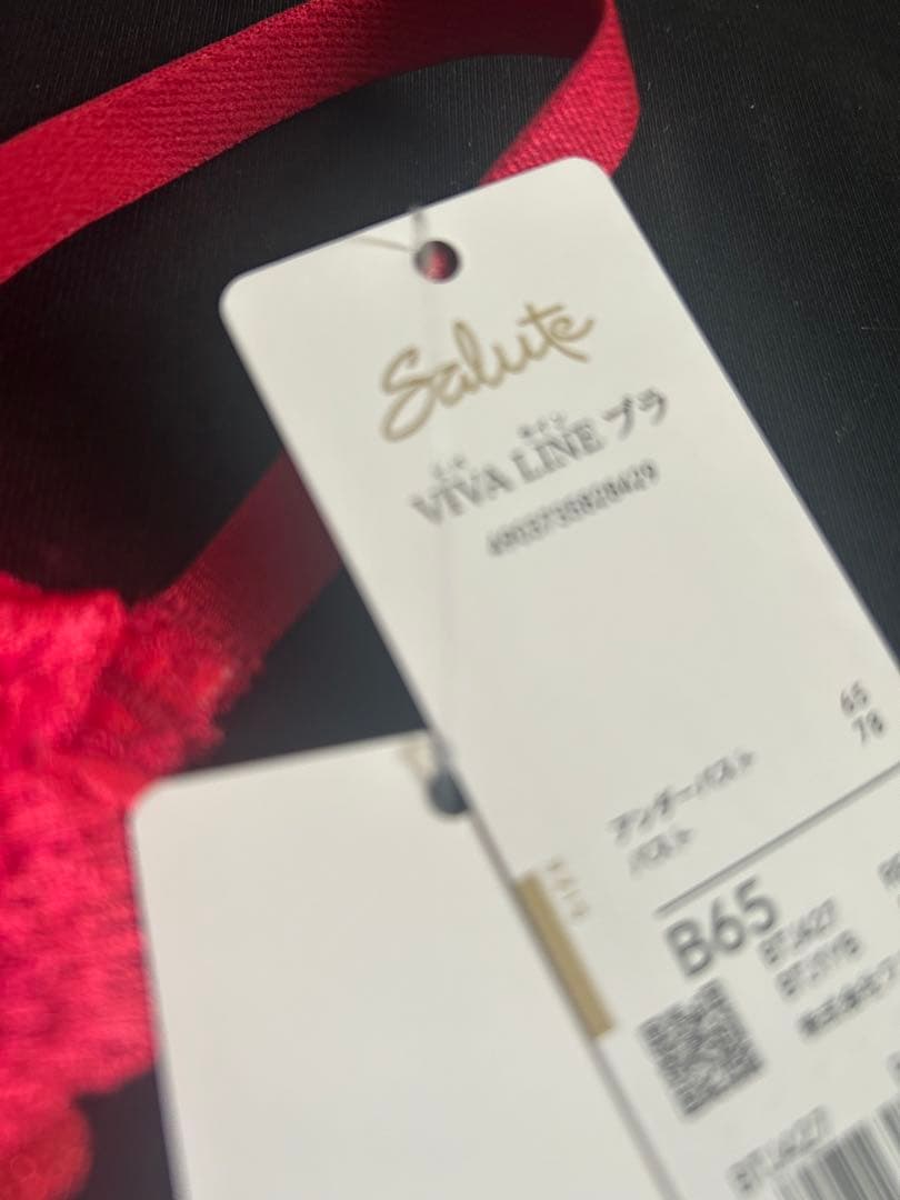 サルート　VIVA LINE ブラジャーショーツセット