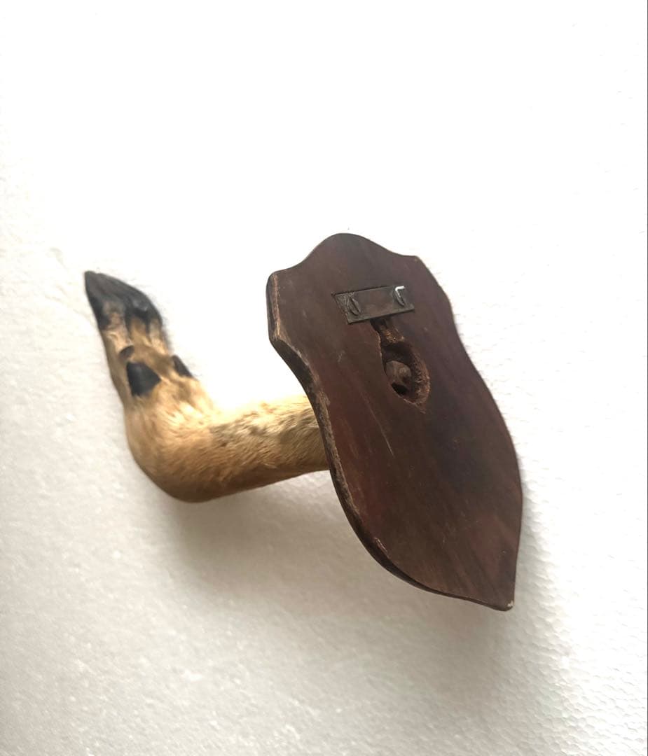 アンティーク★鹿の足壁掛け 剥製　undercover 高橋盾