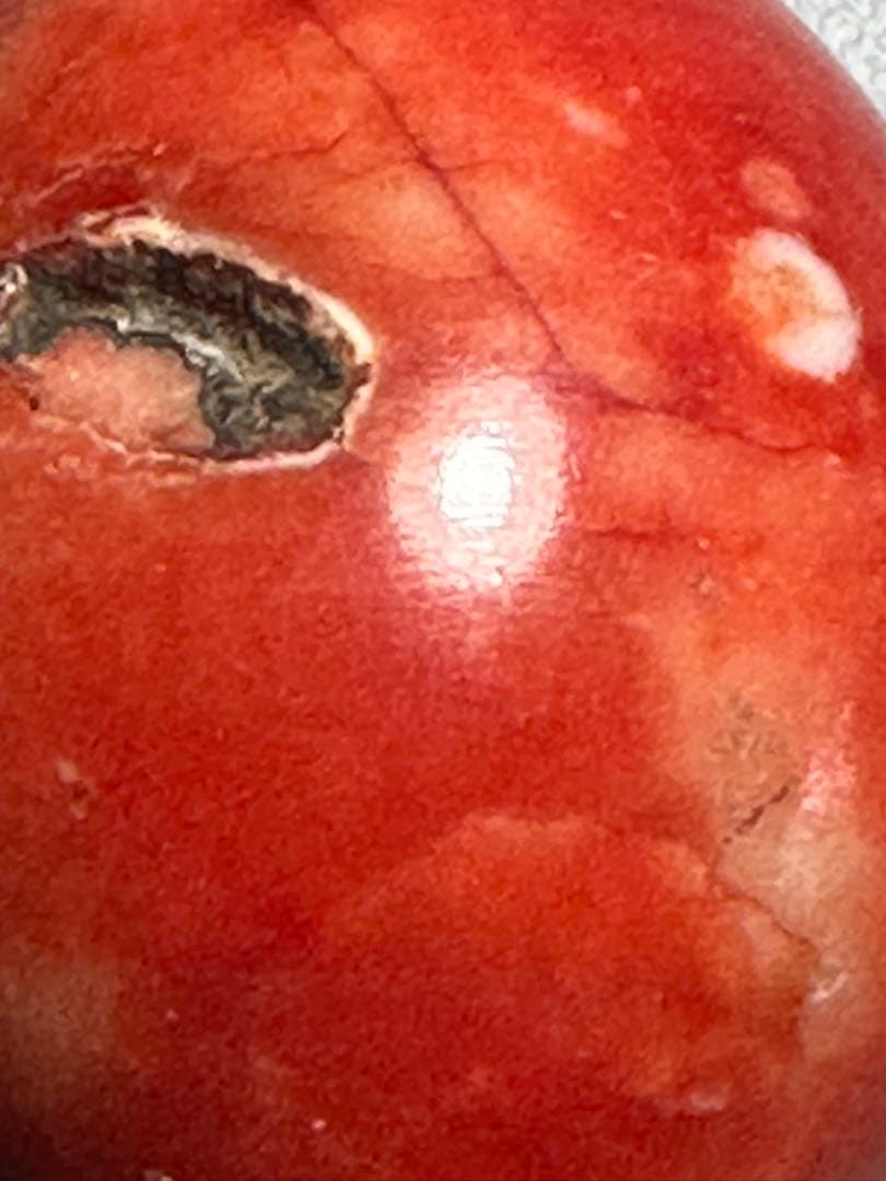 赤玉　風鎮　掛け軸飾り　房飾り　中国美術　検索:珊瑚　サンゴ　瑪瑙　赤石