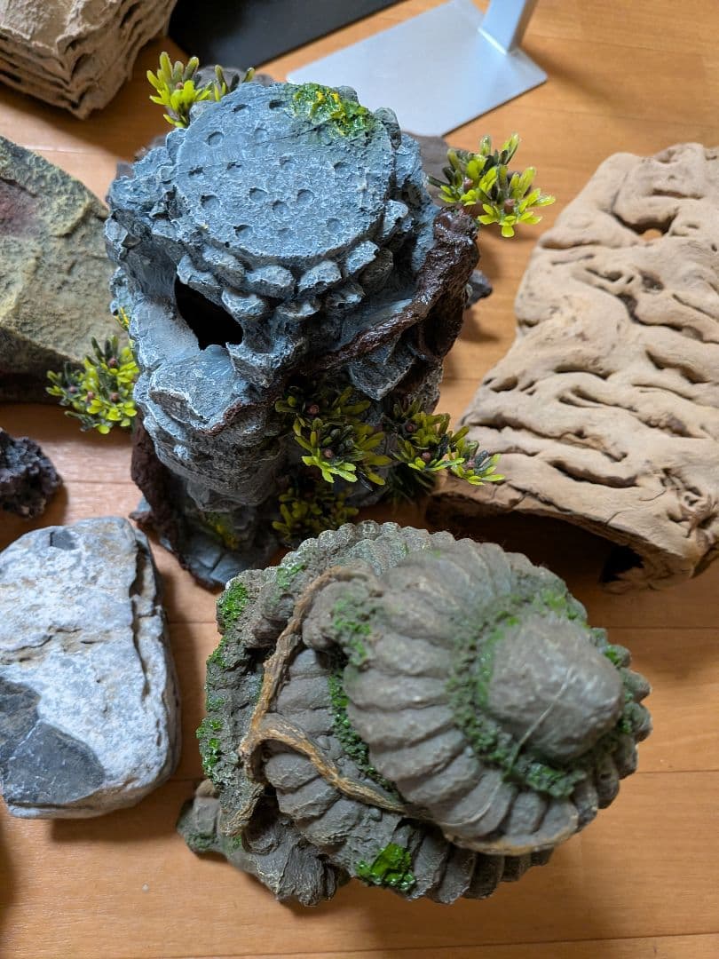 爬虫類　飼育セット