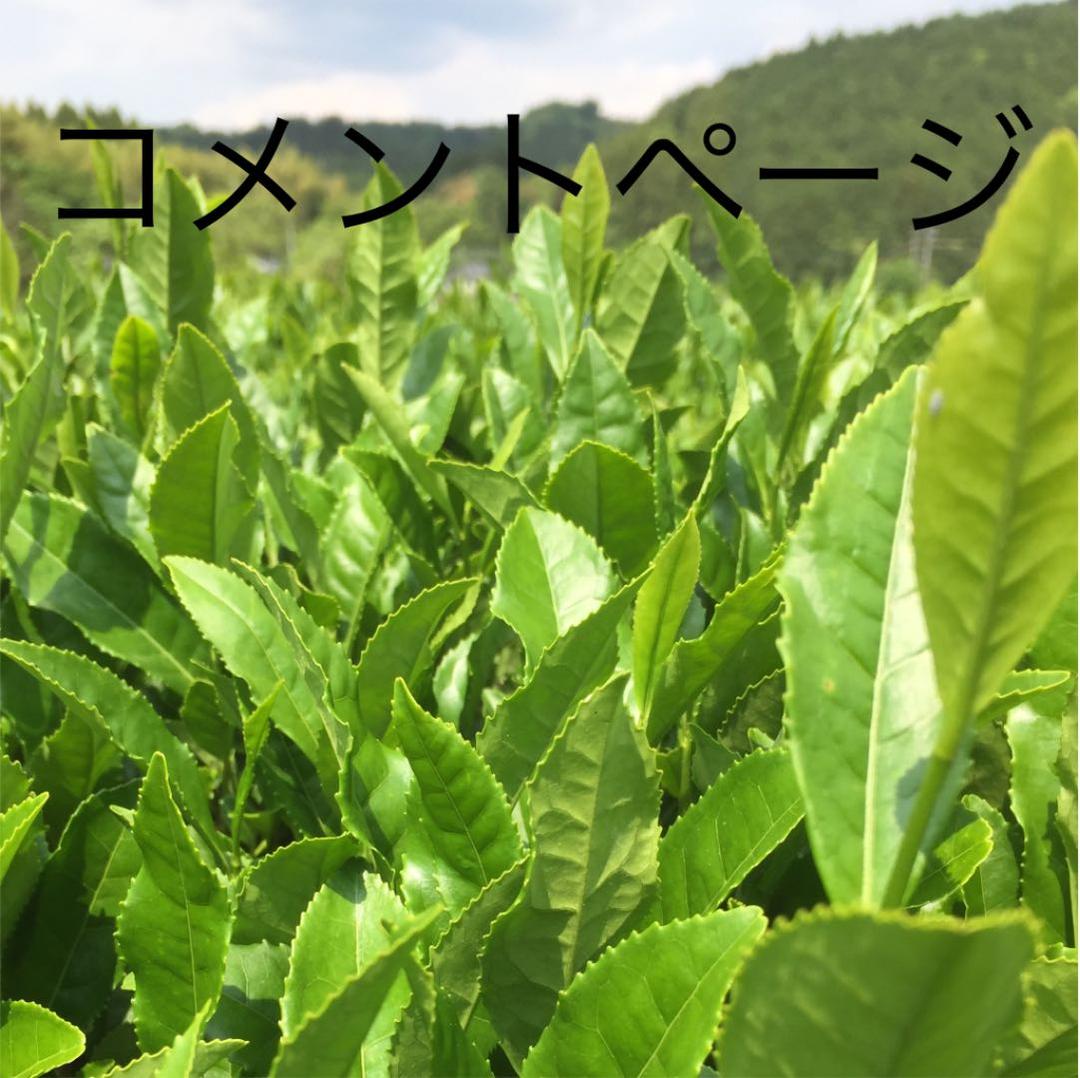 八女茶
