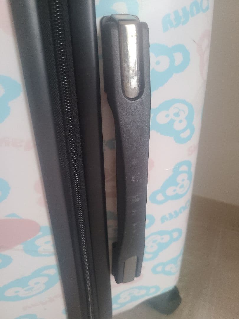 香港ディズニー限定 ダッフィー シェリーメイ キャリーケース