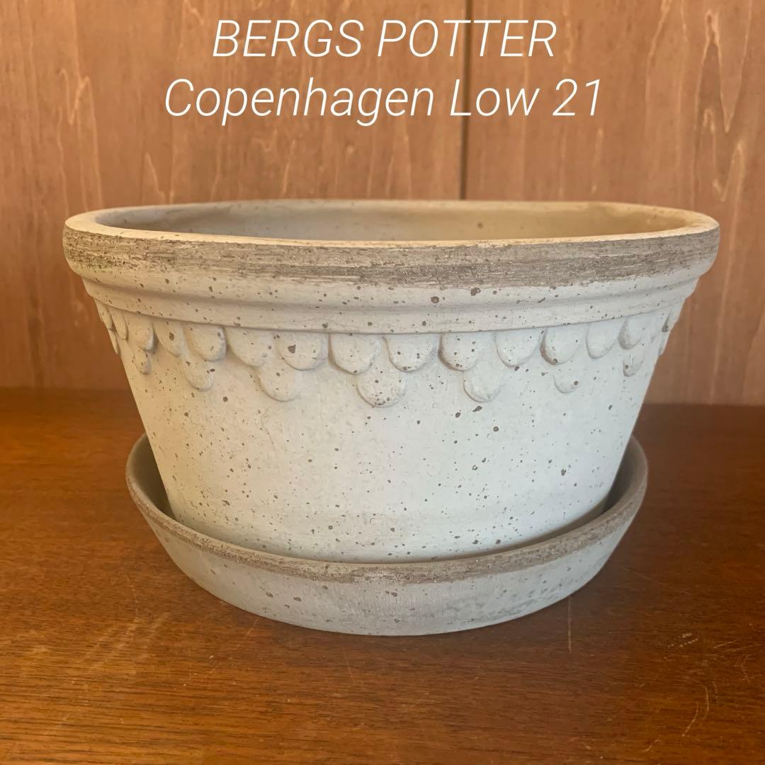 バーグスポッター Low 21 デンマーク コペンハーゲン　ビオラ　鉢