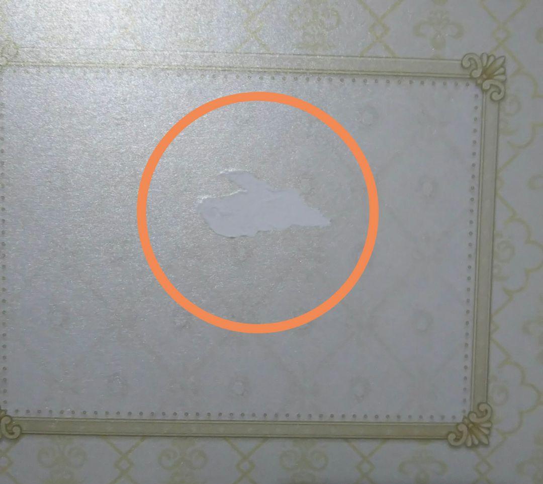 第五人格 IdentityⅤ 7周年限定 卓上侵入 特別版 ７体セット＋特典