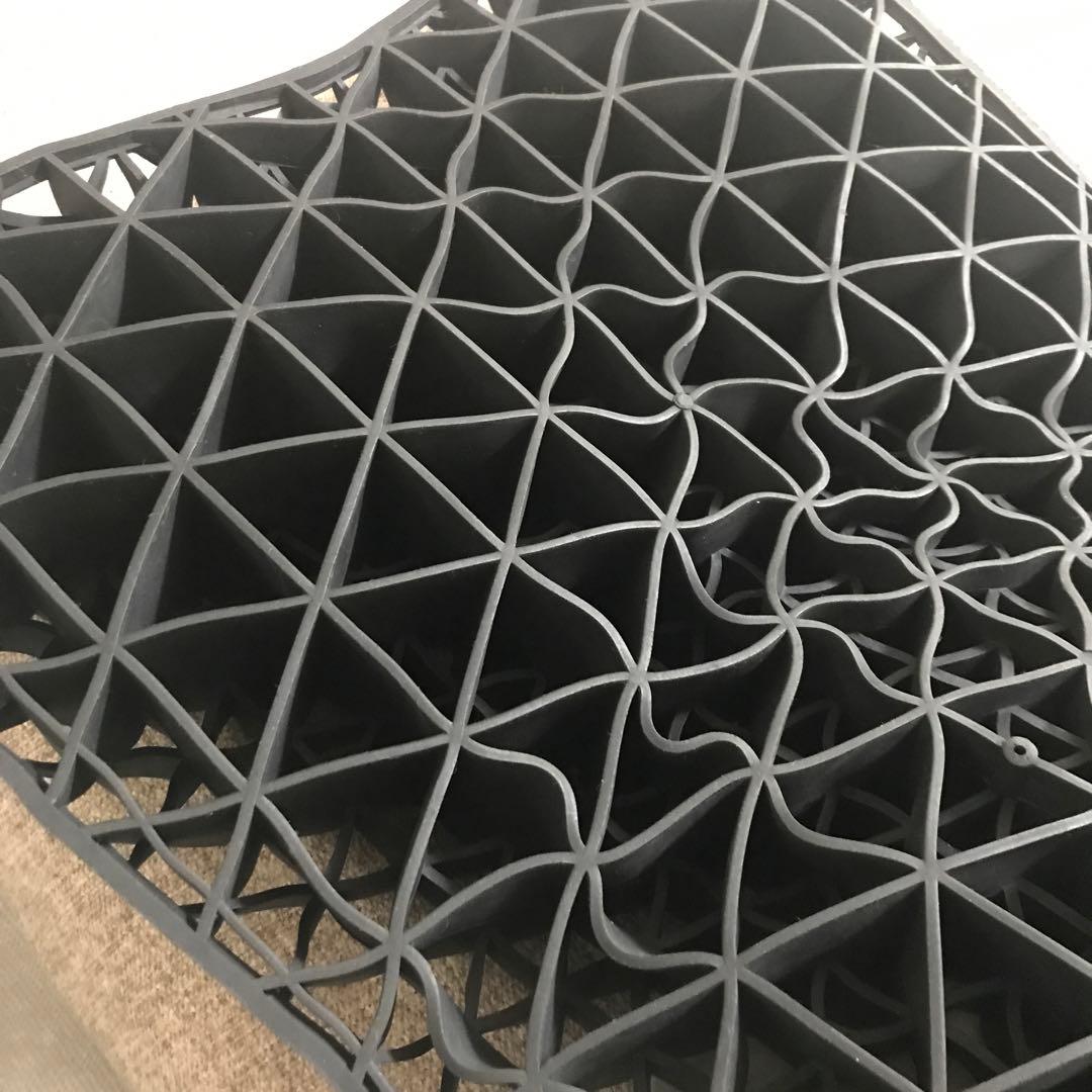 ヒツジのいらない枕DX ディノス特別セット