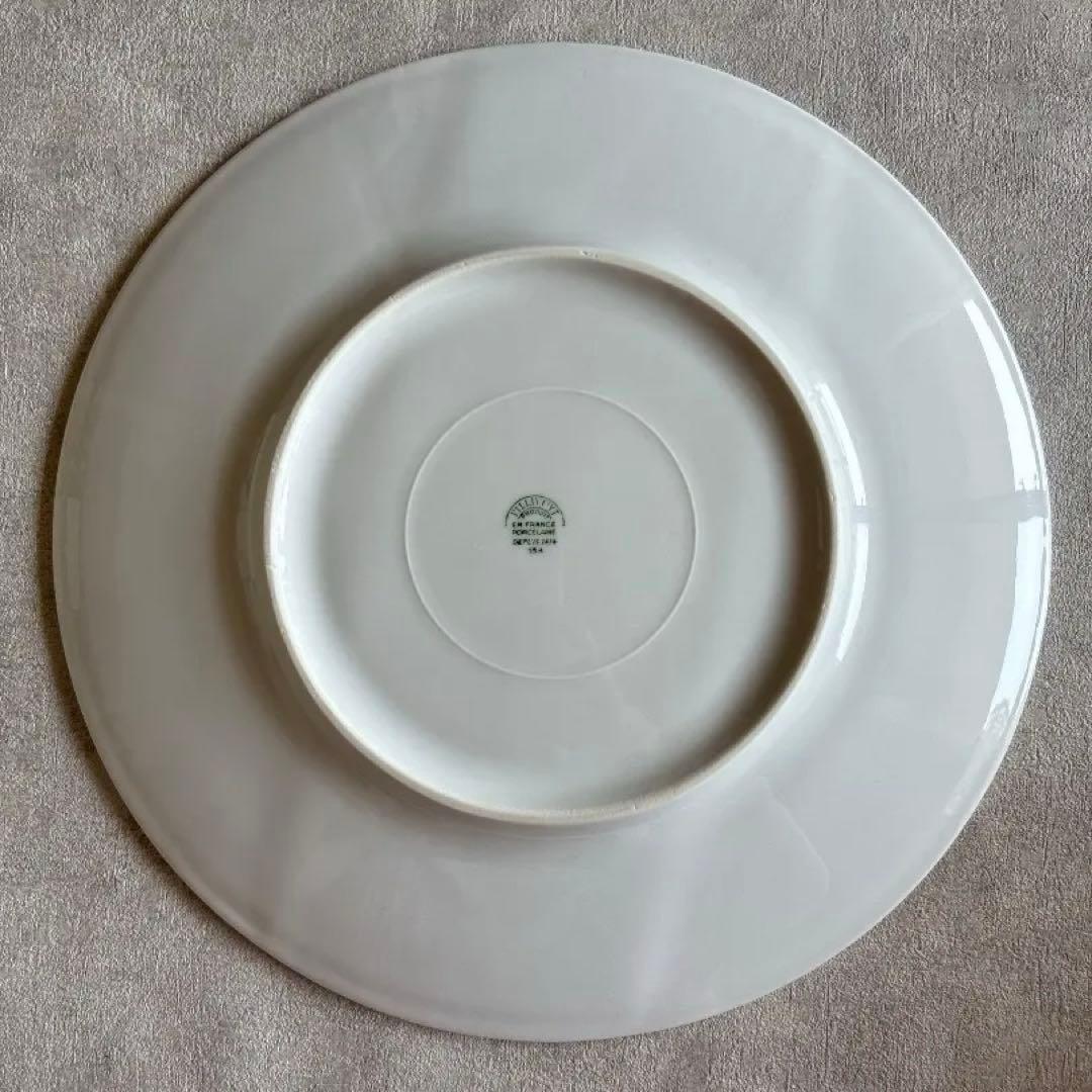 フランス PILLIVUYT ストライプ ディナープレート 31.5cm