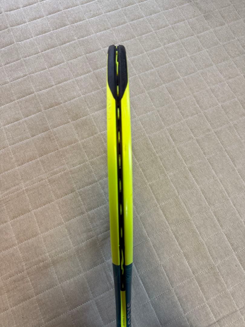 ダンロップ SX300 LS