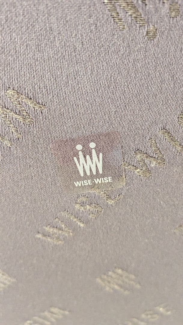 WISE WISE AKI 木製座椅子 　座椅子座布団2セット