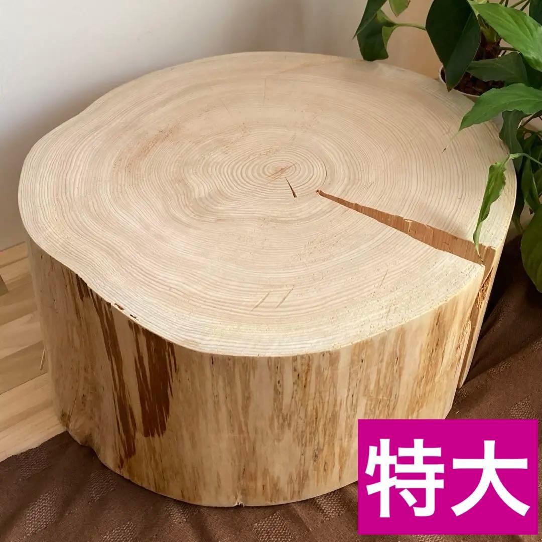 特大直径47cm 切り株　スツール　サイドテーブル　樹齢約80年　ハンドメイドD