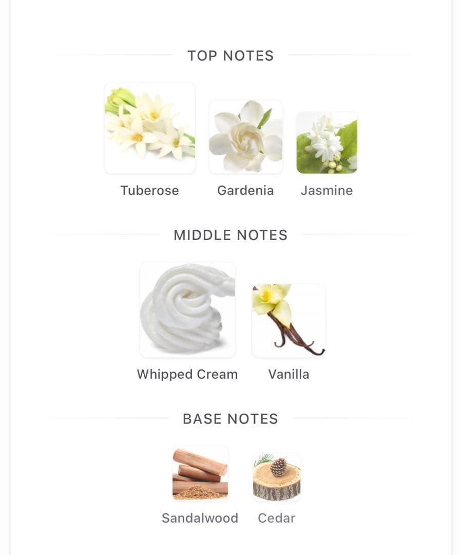 ★AMOUAGE★LOVE TUBEROSE★アムアージュ★ラブチュベローズ★