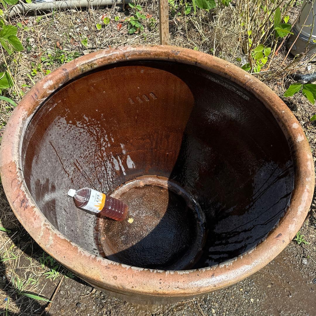 睡蓮鉢　96 特大　大型　メダカ　陶器　蓮　水鉢　甕　寺　庭園　古物　骨董　盆栽